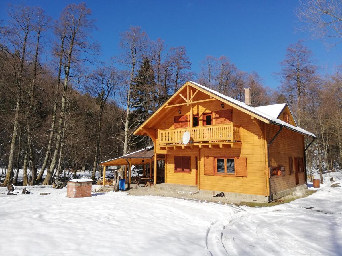 Chalet By The River Valiug Exterior photo